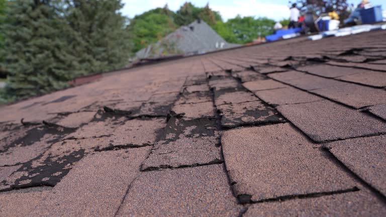 Best Roof Maintenance and Cleaning  in Seaman, OH